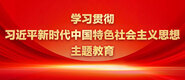 国产美女被操小骚逼学习贯彻习近平新时代中国特色社会主义思想主题教育_fororder_ad-371X160(2)